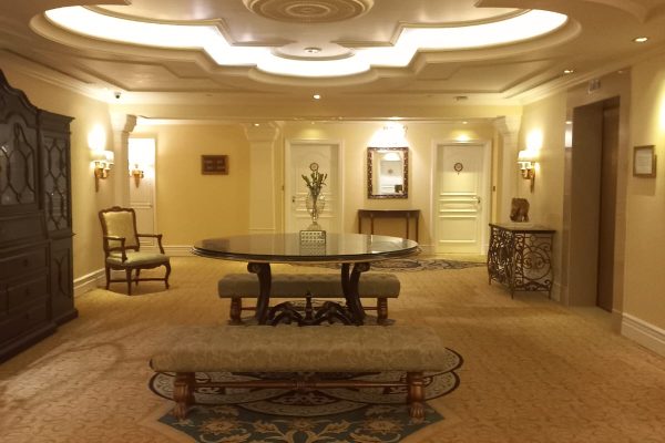 🚩 Leela Palace(Painting), Bengaluru.