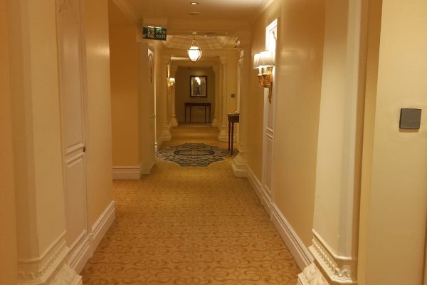 🚩 Leela Palace(Painting), Bengaluru.