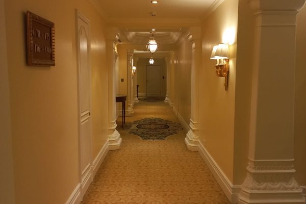 🚩 Leela Palace(Painting), Bengaluru.