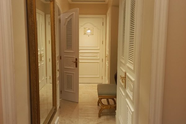 🚩 Leela Palace(Painting), Bengaluru.